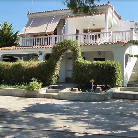 Το Κτήμα Της Ελιάς Του Τάκη Guest House Paralia Demonias Eksteriør bilde