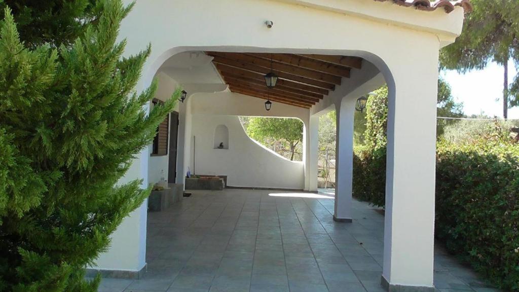 Το Κτήμα Της Ελιάς Του Τάκη Guest House Paralia Demonias Eksteriør bilde