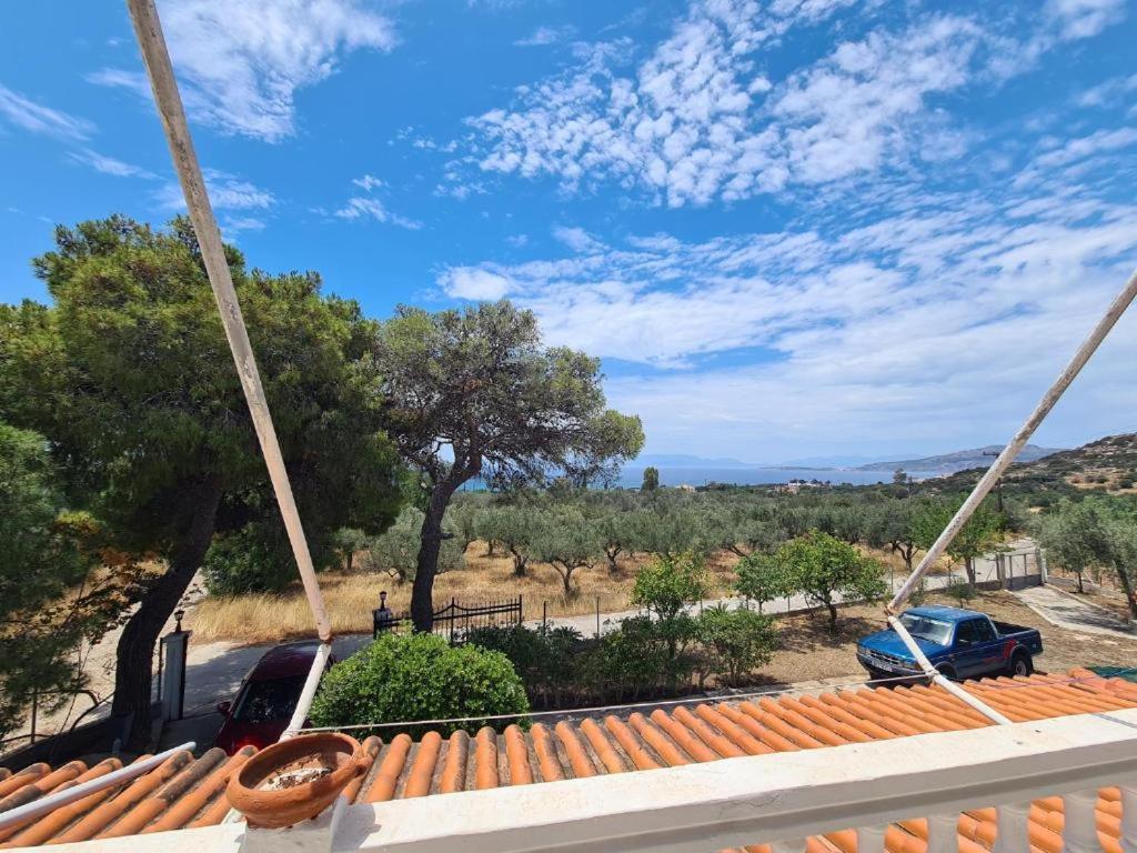 Το Κτήμα Της Ελιάς Του Τάκη Guest House Paralia Demonias Eksteriør bilde