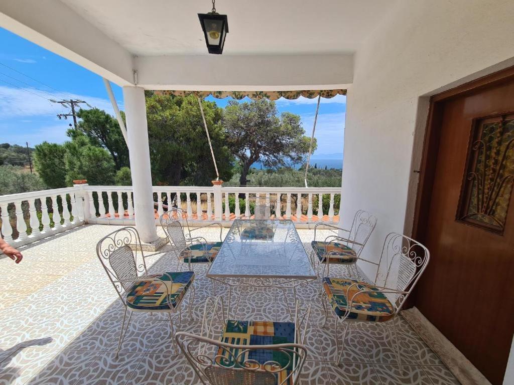 Το Κτήμα Της Ελιάς Του Τάκη Guest House Paralia Demonias Eksteriør bilde