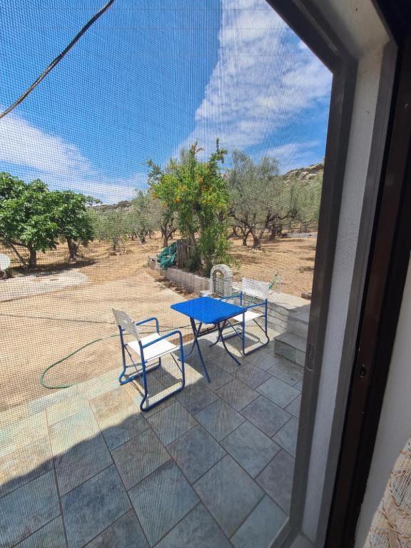 Το Κτήμα Της Ελιάς Του Τάκη Guest House Paralia Demonias Eksteriør bilde