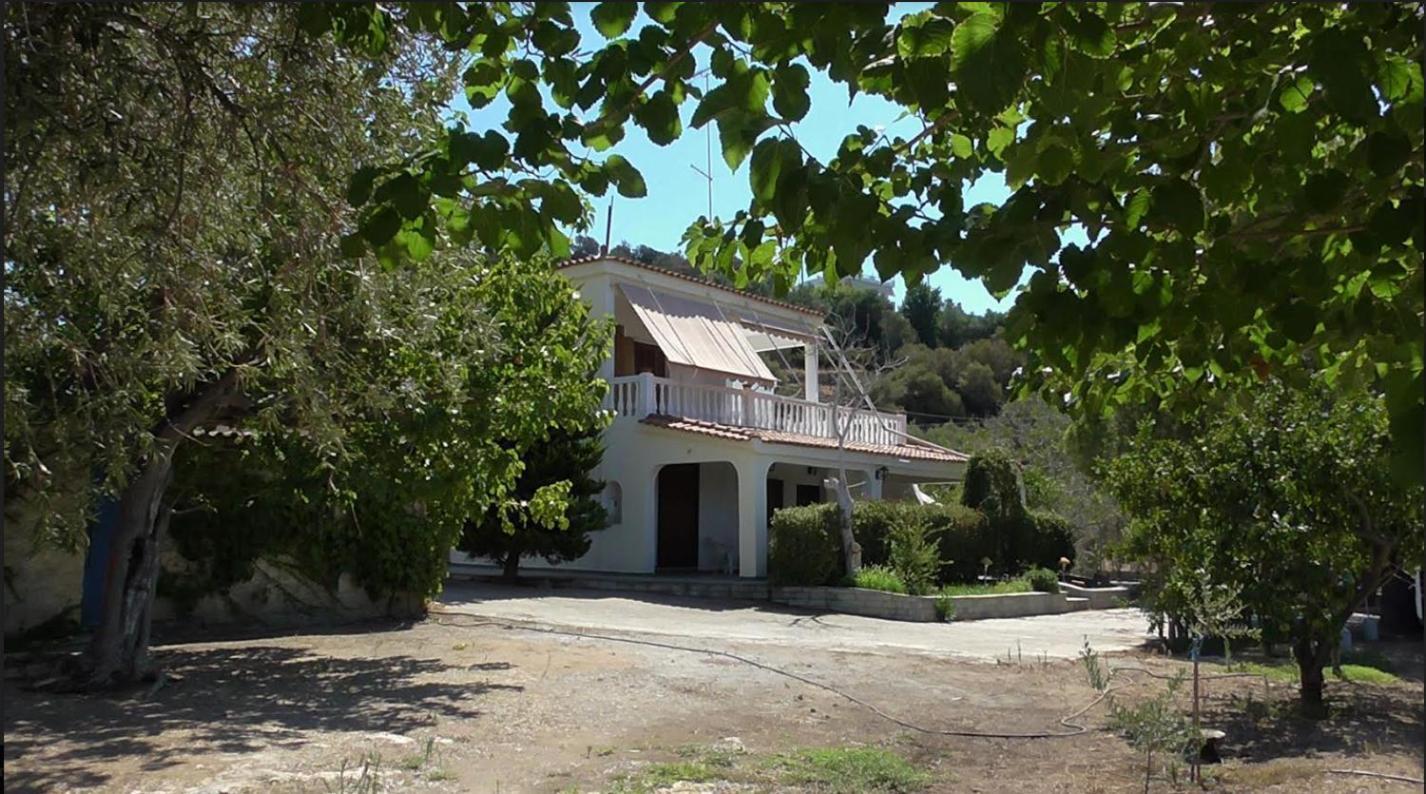 Το Κτήμα Της Ελιάς Του Τάκη Guest House Paralia Demonias Eksteriør bilde